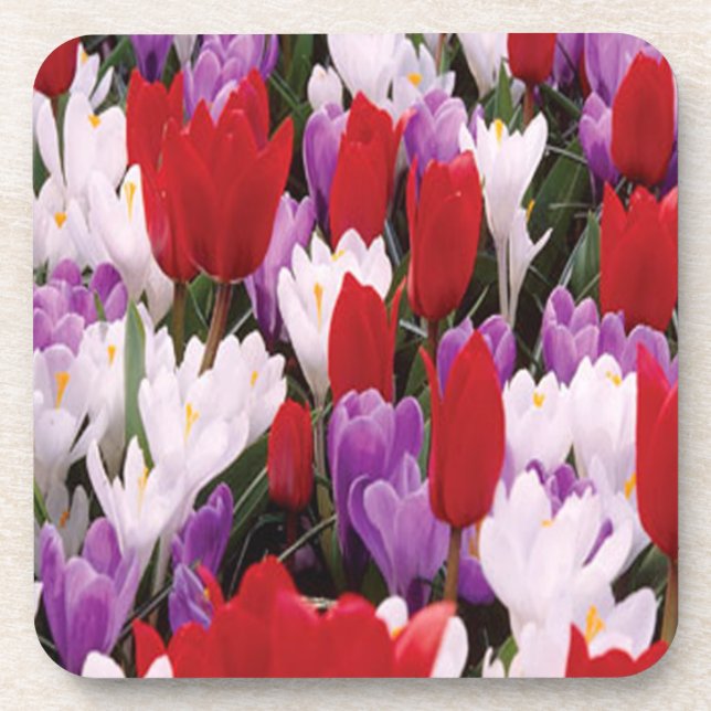 Posavasos Coloridas Flores De Tulipanes (Frente)