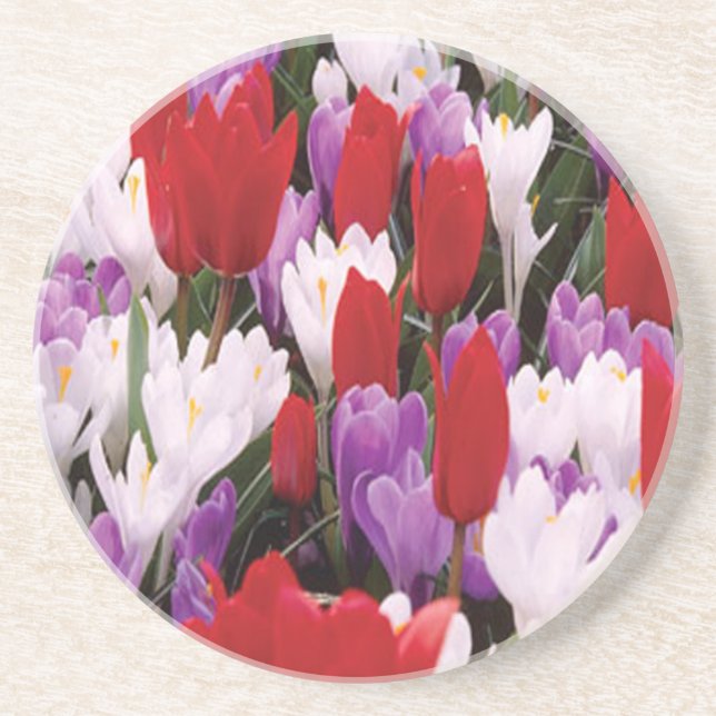Posavasos Coloridas Flores De Tulipanes (Frente)