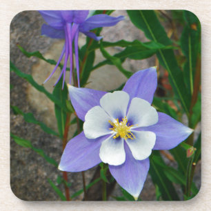 Posavasos Columbina azul