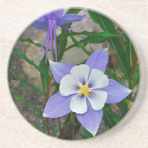 Posavasos Columbina azul