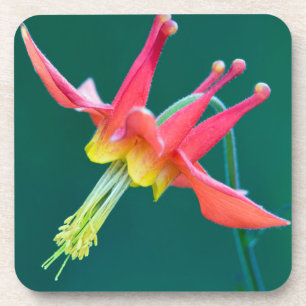 Posavasos Columbina Roja