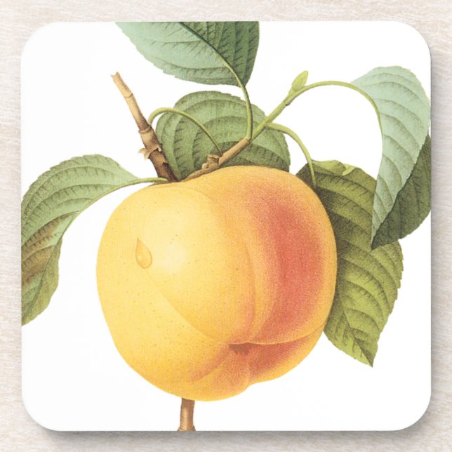 Posavasos Comida de fruta de época, Calville Apple de Redout (Frente)