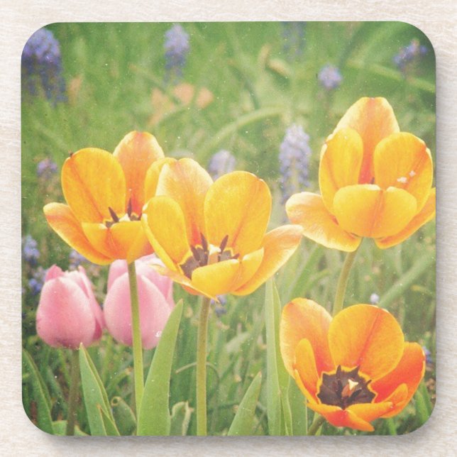 Posavasos Como una bella pintura de la vida (Frente)