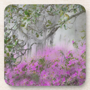 Posavasos Compuesto digital de azaleas y árbol de magnolia