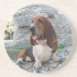 Posavasos Con Visita A Las Ruinas Del Castillo De
