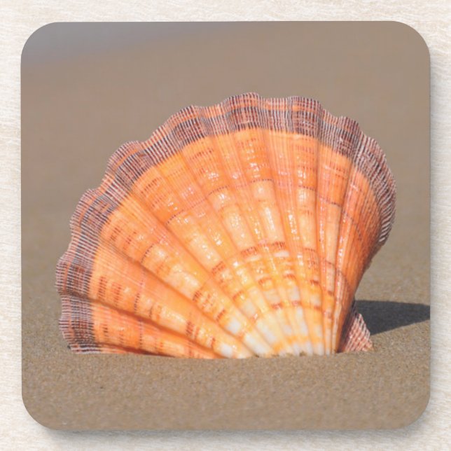 Posavasos Concha de peregrino el Shell| Creta, Grecia (Frente)