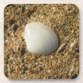Posavasos concha en la playa