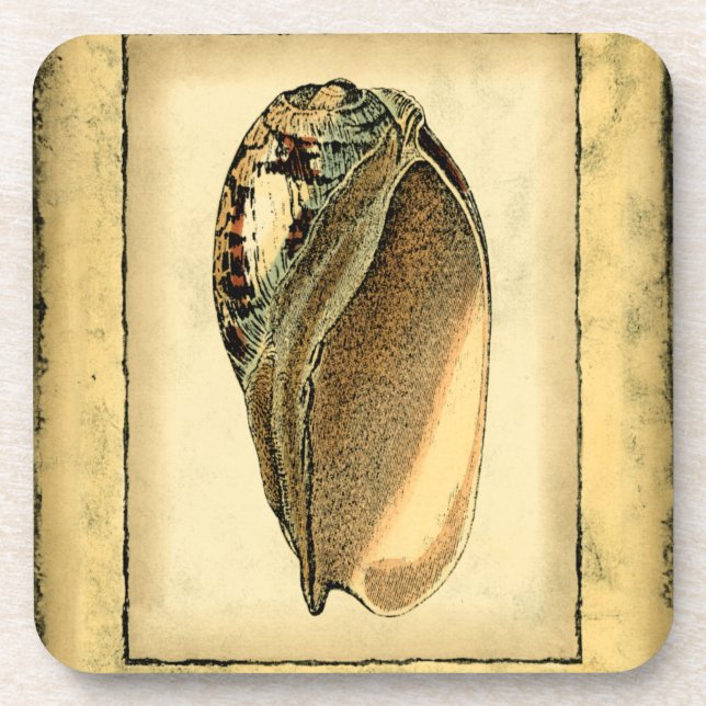 Posavasos Concha Rustica Vintage (Frente)