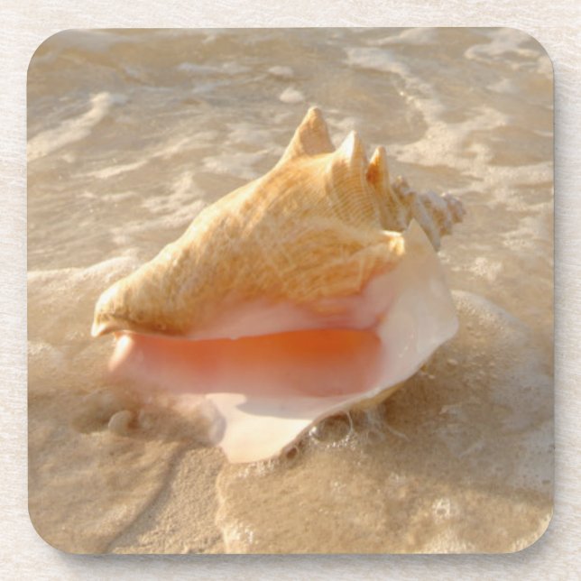 Posavasos Concha Shell en arena en la playa tropical (Frente)