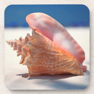 Posavasos Concha Shell en la playa 2