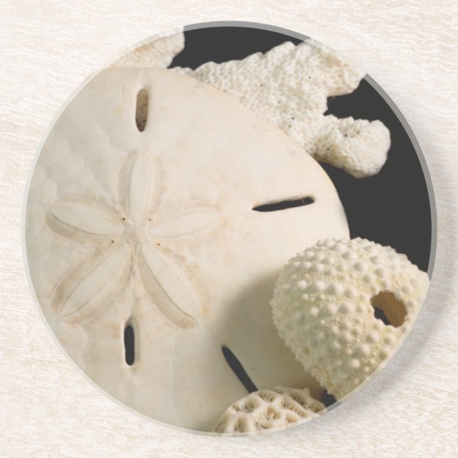Posavasos Conchas Blancas De Mar Y Dólar De Arena (Frente)