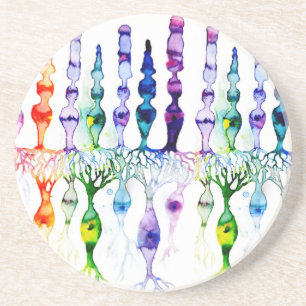 Posavasos Cone cells rod cells and bipolar neurond of retina