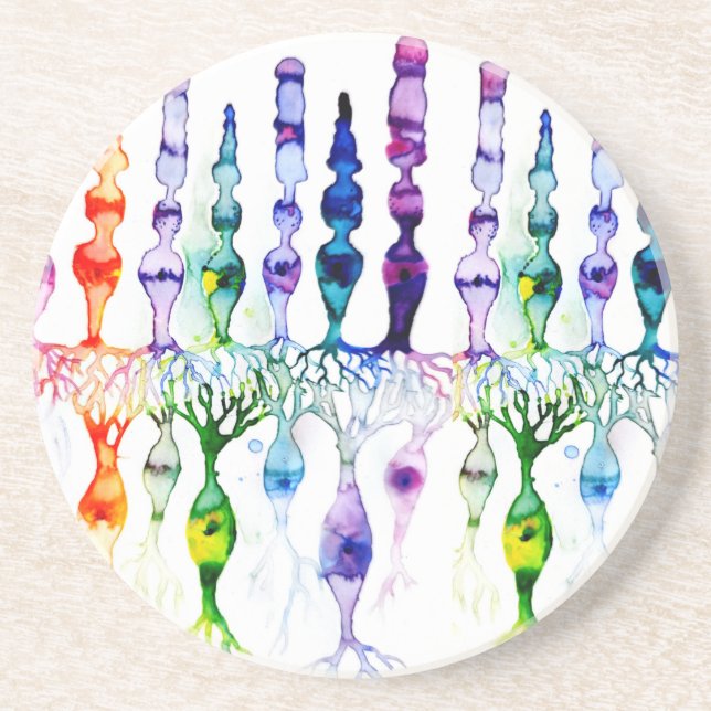 Posavasos Cone cells rod cells and bipolar neurond of retina (Frente)