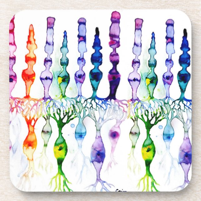 Posavasos Cone cells rod cells and bipolar neurond of retina (Frente)