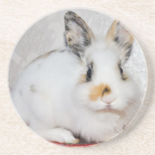 Posavasos Conejito de Pascua