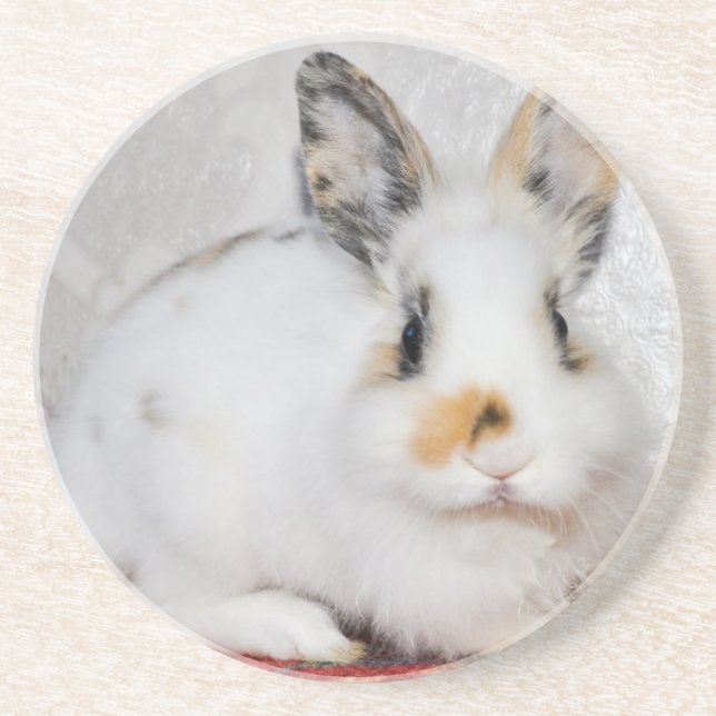 Posavasos Conejito de Pascua (Frente)