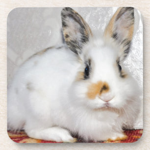 Posavasos Conejo de Pascua