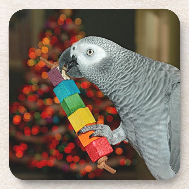 Posavasos Congo: Loro gris africano, árbol navideño (Frente)