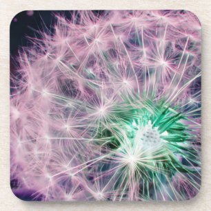 Posavasos Conjunto de 6 Ataques de cabeza de semilla, modern