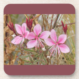 Posavasos Conjunto de escayas - Guara rosa