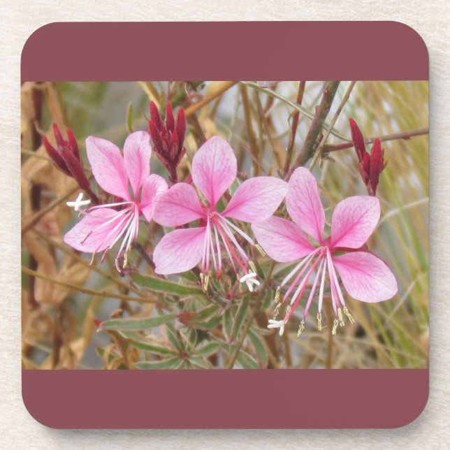 Posavasos Conjunto de escayas - Guara rosa (Frente)