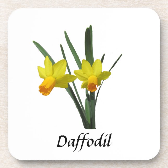 Posavasos Conjunto de escayola - Daffodil (Frente)
