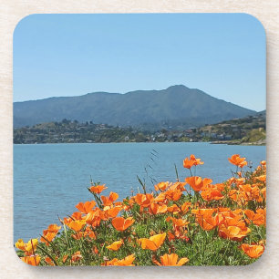 Posavasos Conjunto de escoria de plástico duro Mt Tamalpais