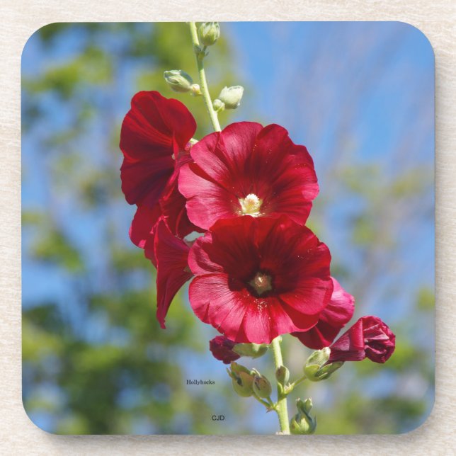 Posavasos Conjunto de hollyhocks de 6 ruedas de plástico (Frente)