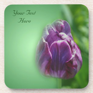 Posavasos Conjunto de la escoria natural de la flor de tulip