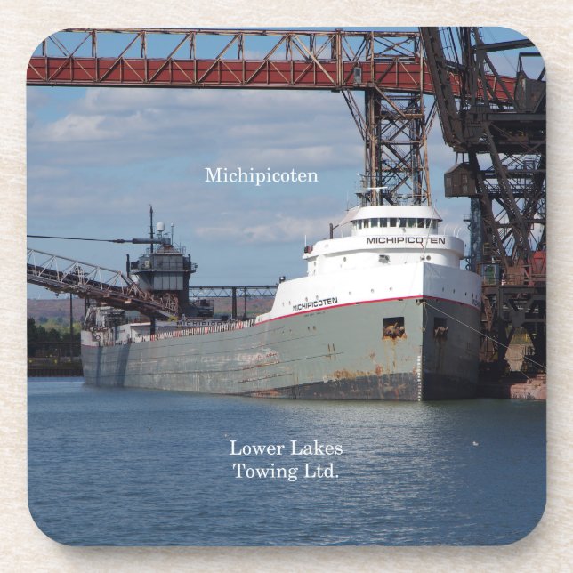 Posavasos Conjunto de michipicotones de 6 recipientes de plá (Frente)