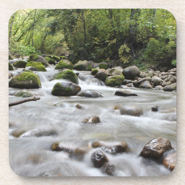 Posavasos Conjunto de pasos rápidos de la cadena Forest Stre (Frente)
