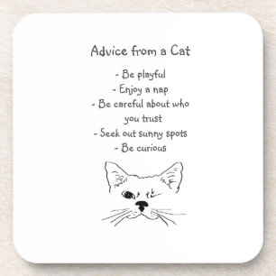 Posavasos Consejos del humor animal del gato enrollado