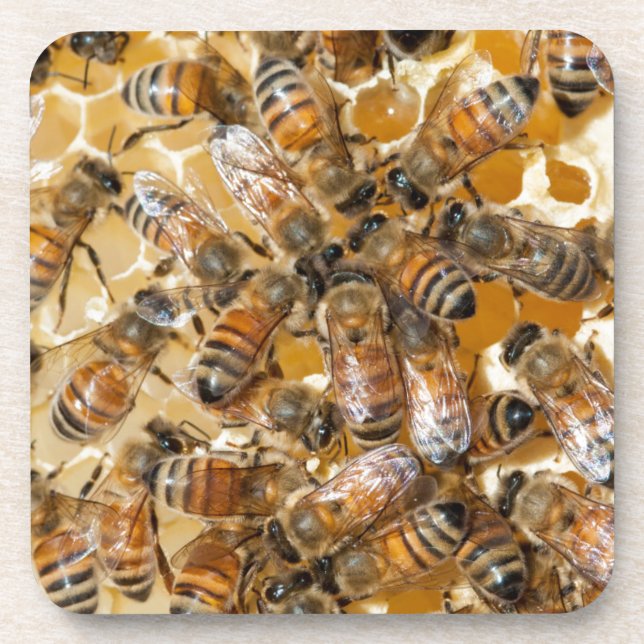 Posavasos Conservación de abejas en la granja de miel de Arl (Frente)