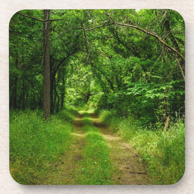 Posavasos Control de campo (Frente)