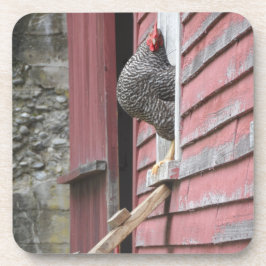 Posavasos Coop de pollo