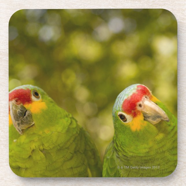 Posavasos Copan, Honduras (Frente)