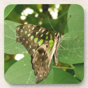 Posavasos Copas de corcho de mariposa verde irlandés tropica