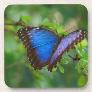 Posavasos Copas de corcho de morfo azul con mariposa