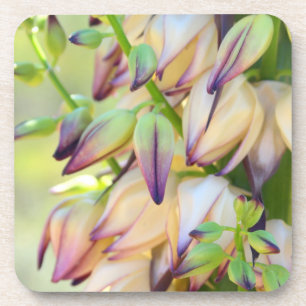 Posavasos copas de flores de yucca