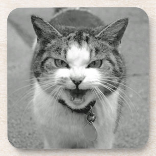 Posavasos Copas de gatos de cangrejo