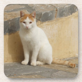 Posavasos Copos de gato