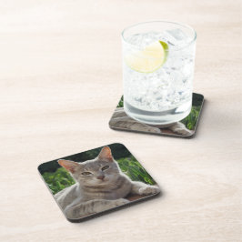 Posavasos Copos Gris Cat