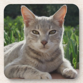 Posavasos Copos Gris Cat