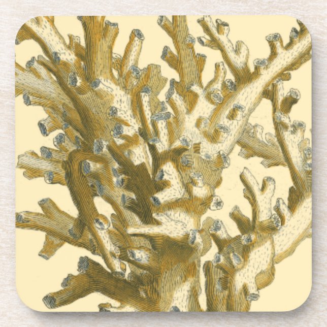 Posavasos Coral junto al mar (Frente)