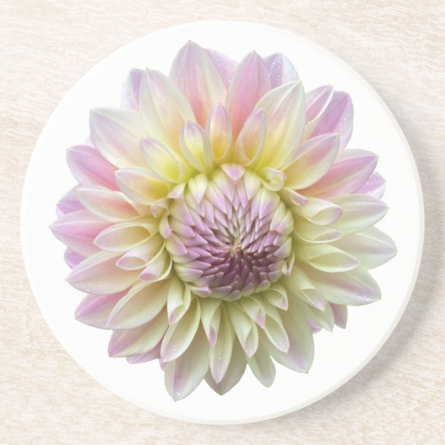 Posavasos Coralie Dahlia, flor rosa pastel (Frente)
