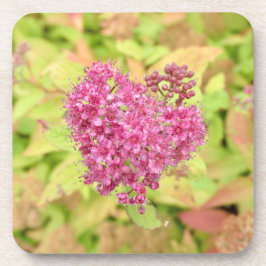 Posavasos Corazón de flor natural - perforado por flecha.