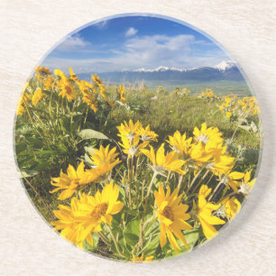 Posavasos Cordillera Nacional de Bison