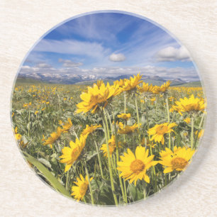 Posavasos Cordillera Rocky Mountain