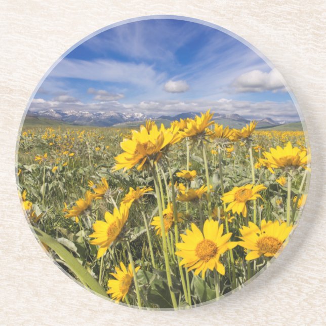 Posavasos Cordillera Rocky Mountain (Frente)