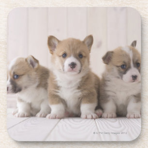Posavasos Corgi de tres Galés